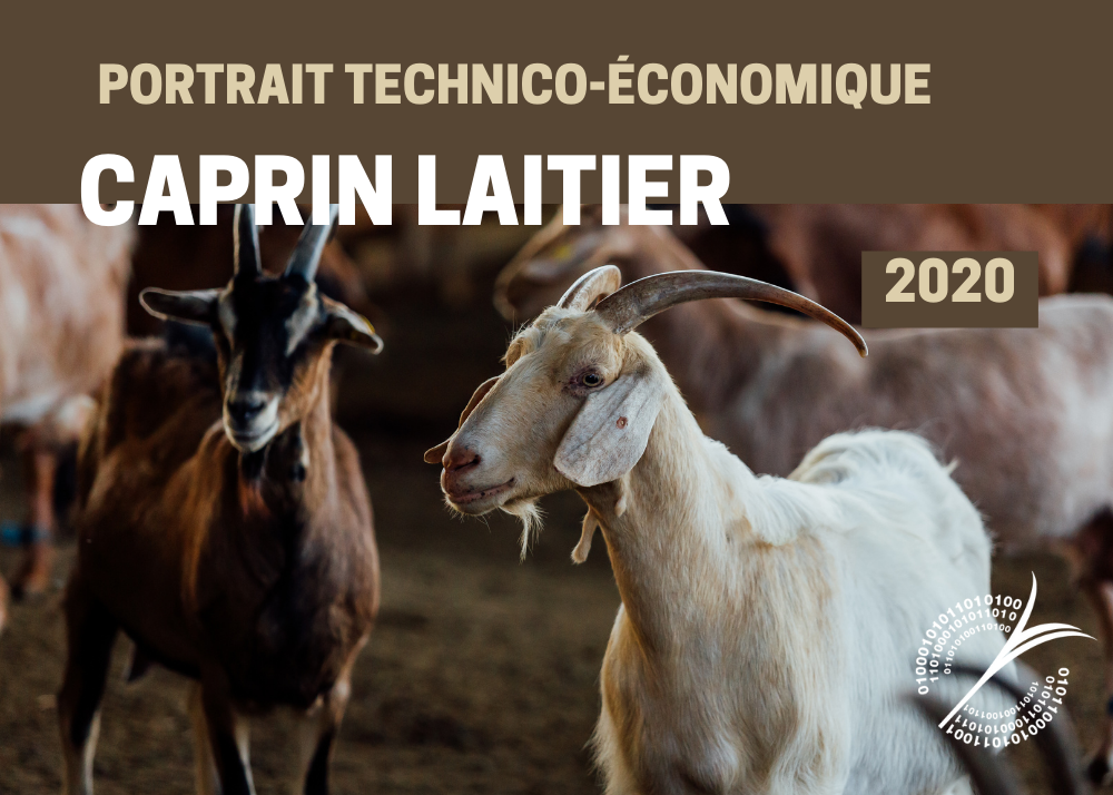 Informations complémentaires : PORTRAIT TECHNICO-ÉCONOMIQUE - CAPRIN LAITIER 2020